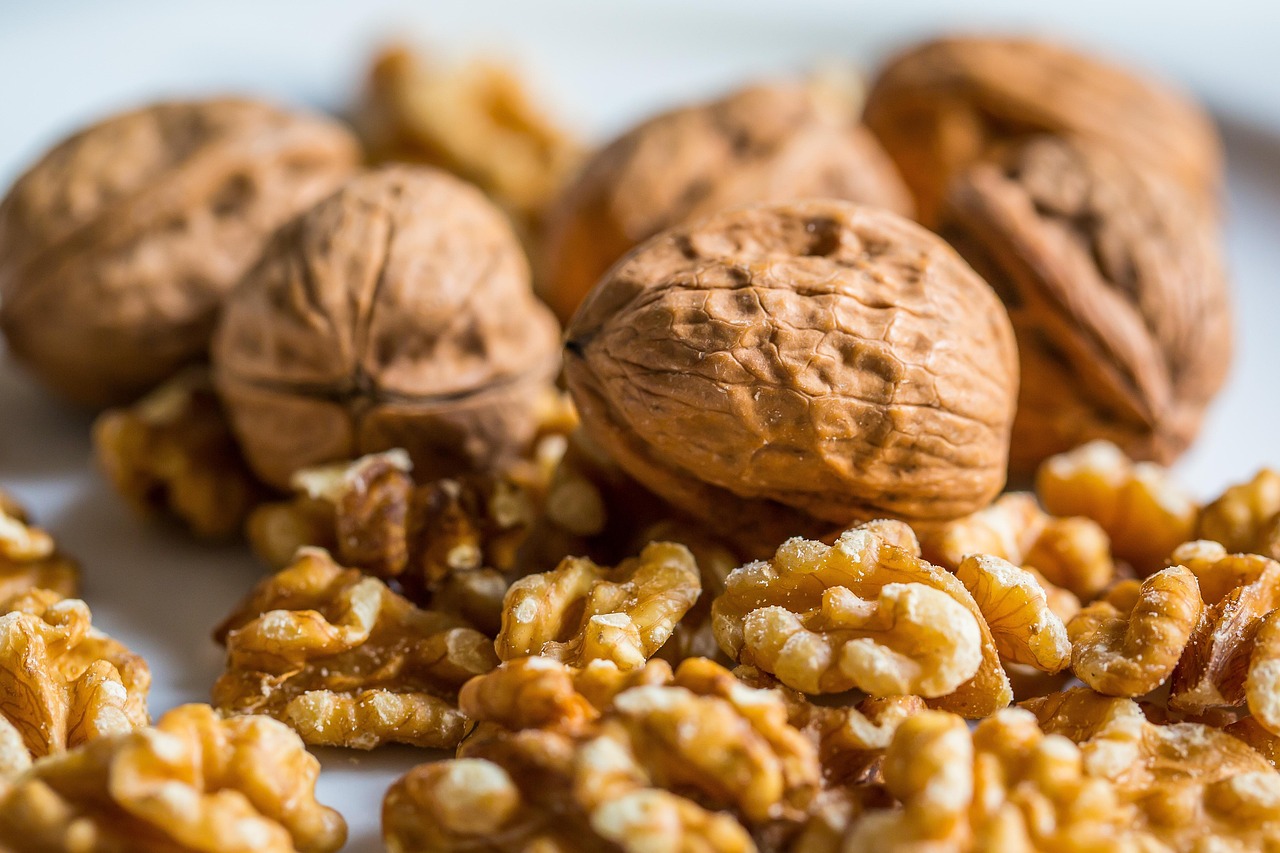 walnut, nut, walnuts, nuts, walnut, walnut, walnut, walnut, walnut, walnuts, walnuts, walnuts, walnuts, nuts